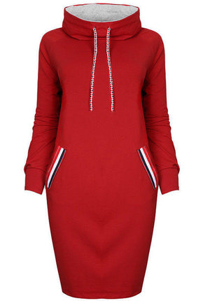 Ladies Winter Hooded Dresses Women Dress